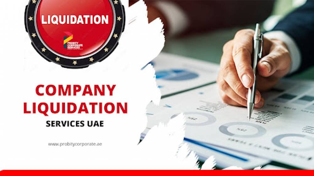 Liquidation of A Sole Establishment or a Professional Company in Dubai
